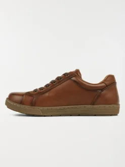 Baskets basses femme marron (36-41)