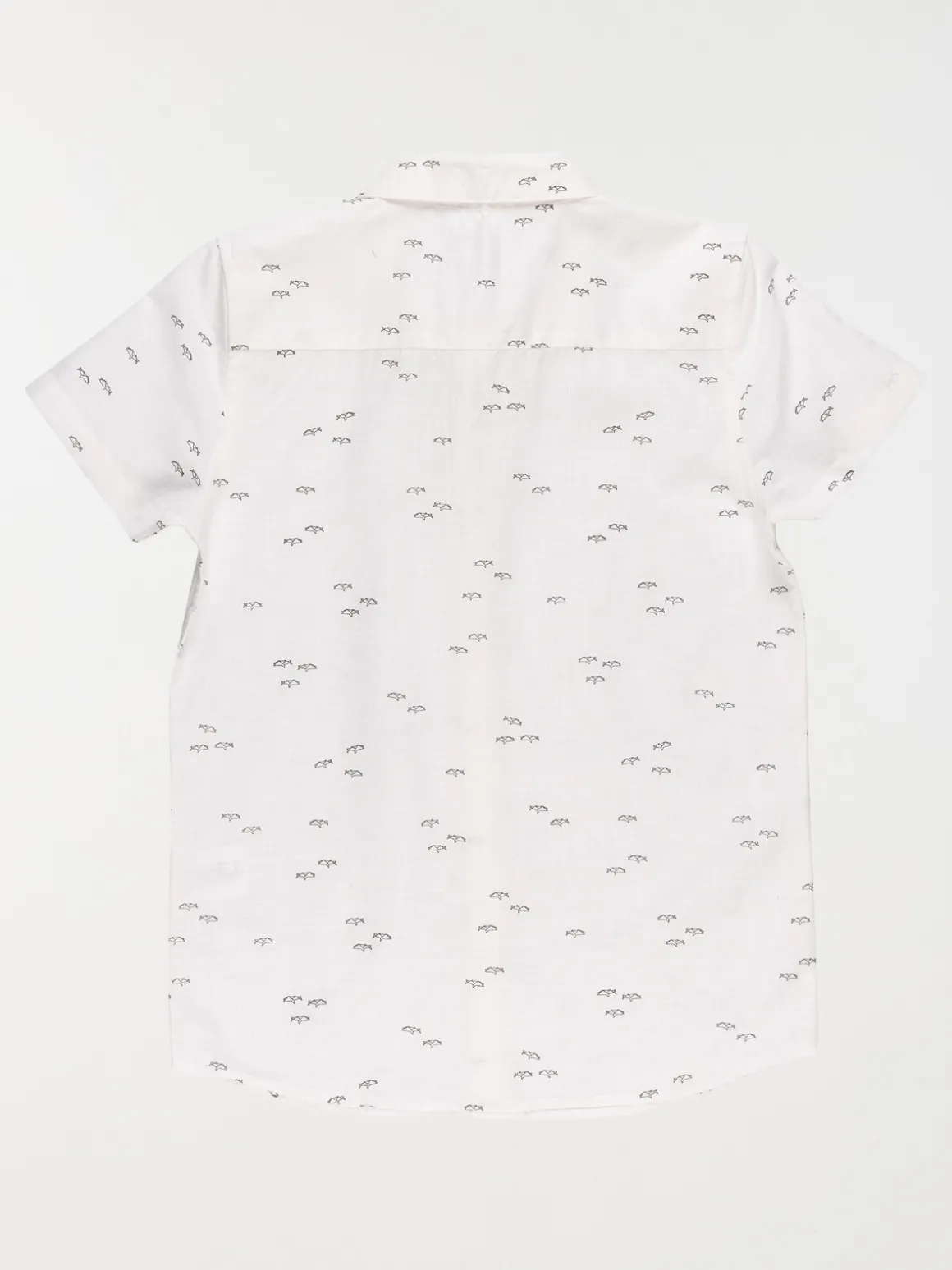 Chemisette motif requin garçon (10-16A)