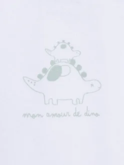 Lot 3 bodies dinosaure garçon (3-24M)