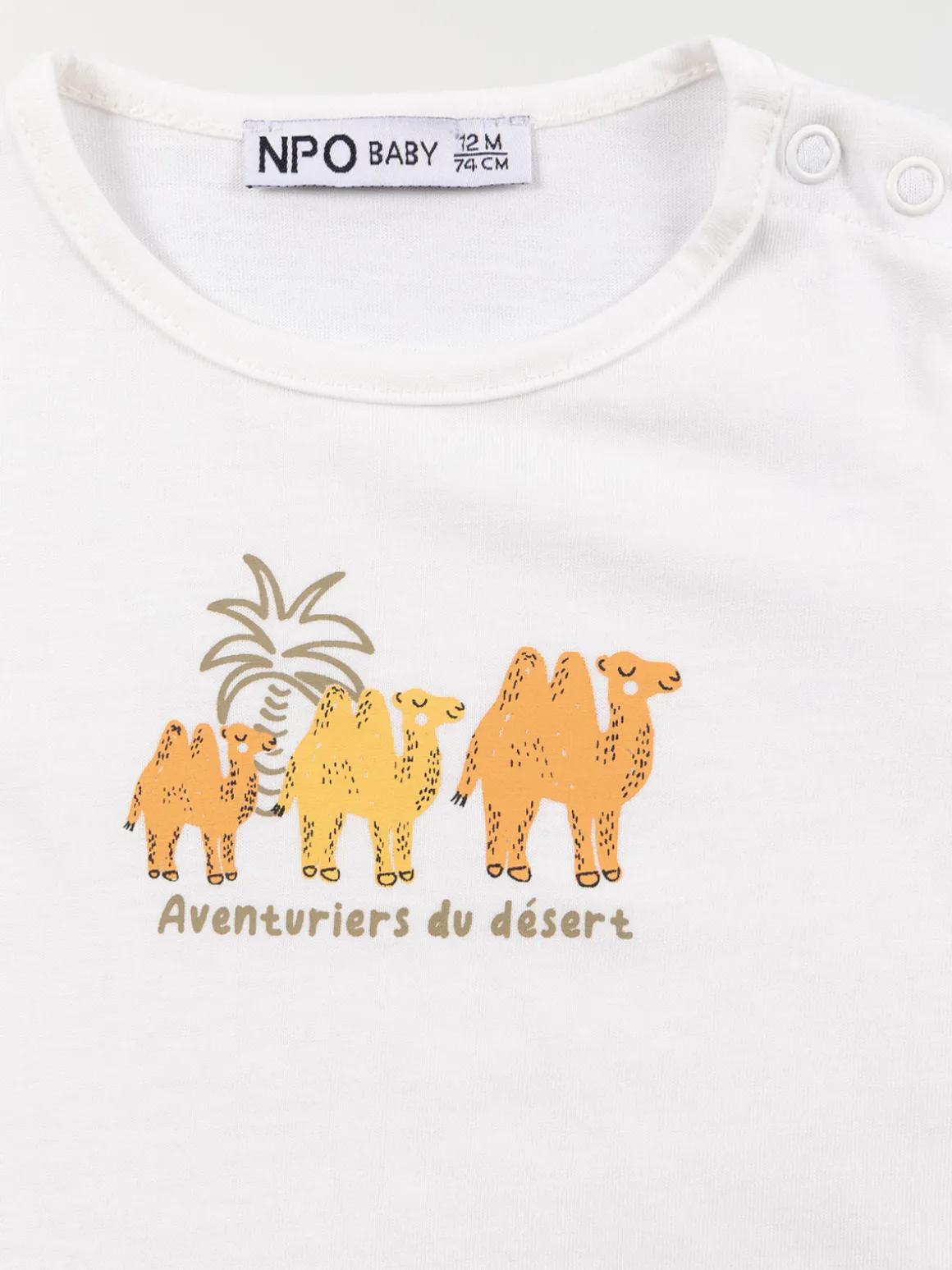 Lot 3 T-shirts chameaux garçon (3-36M)