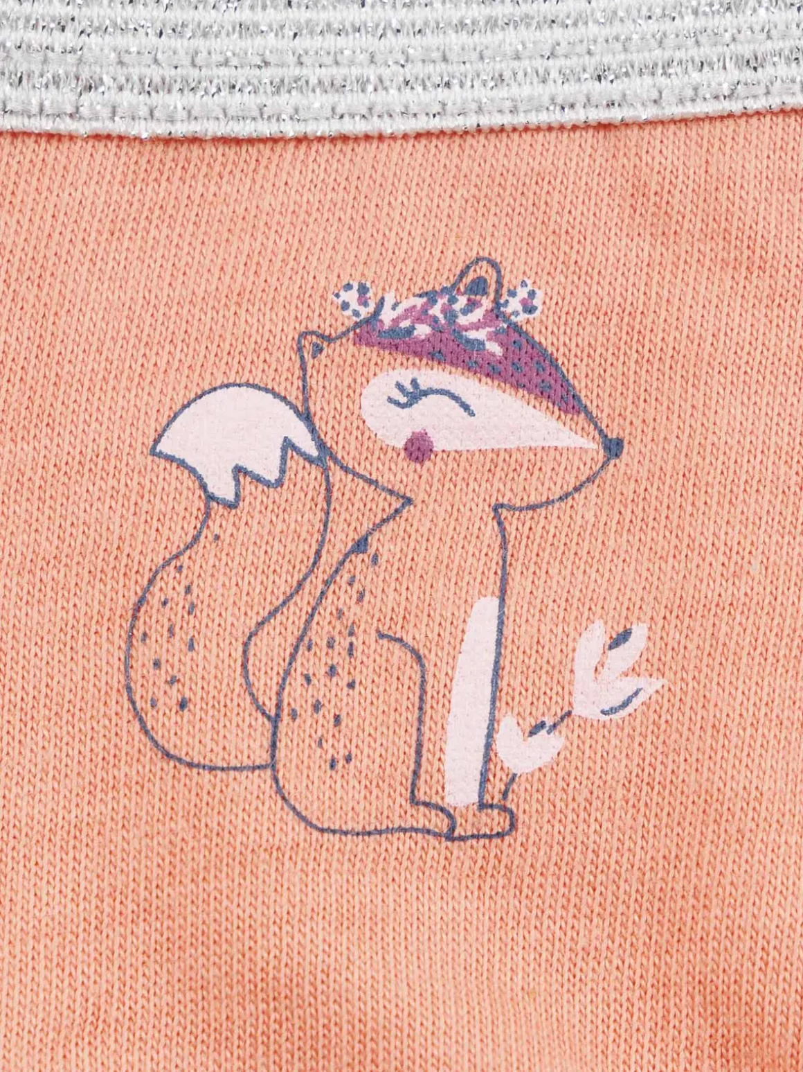 Lot de 5 slips renard fille