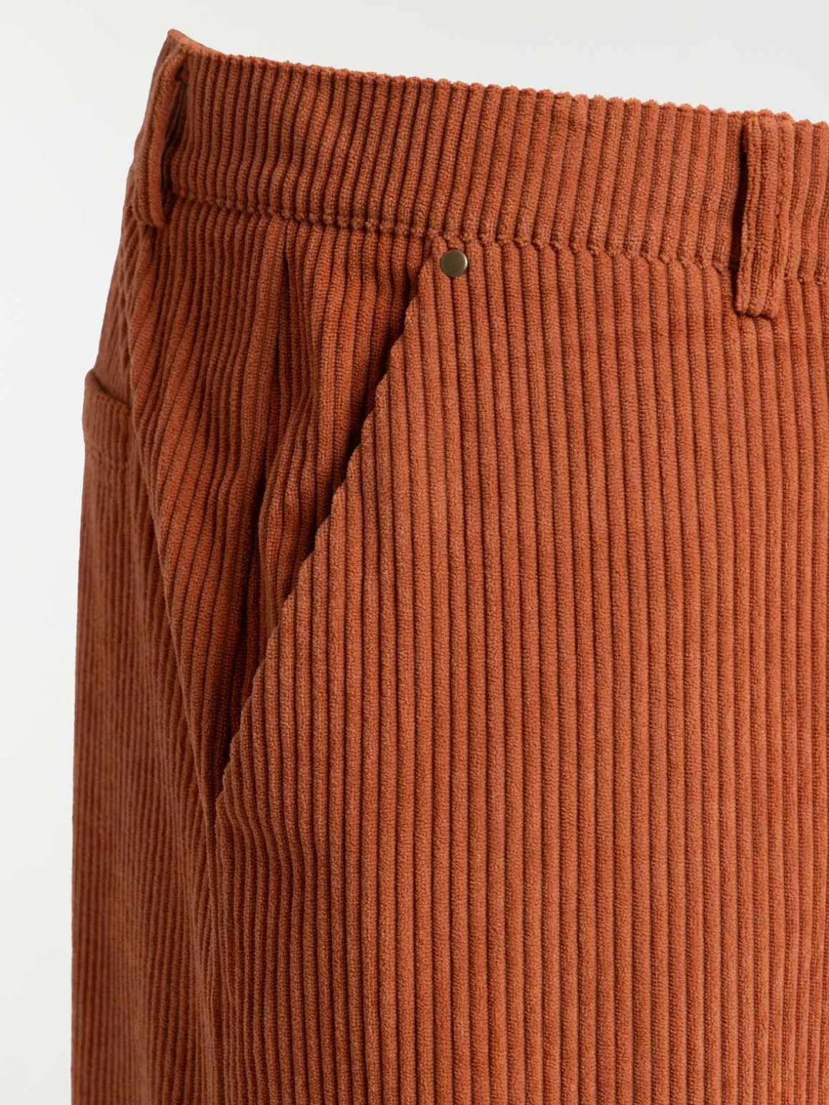 Pantalon velours grande taille femme