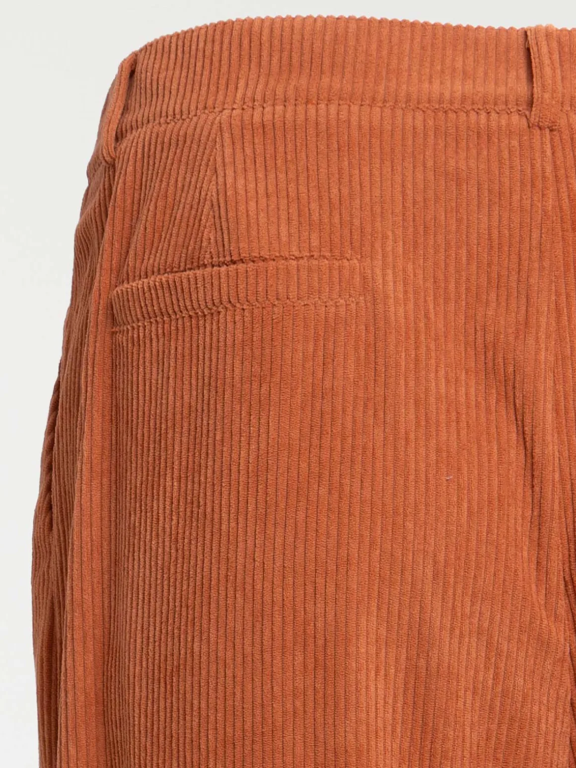 Pantalon velours grande taille femme