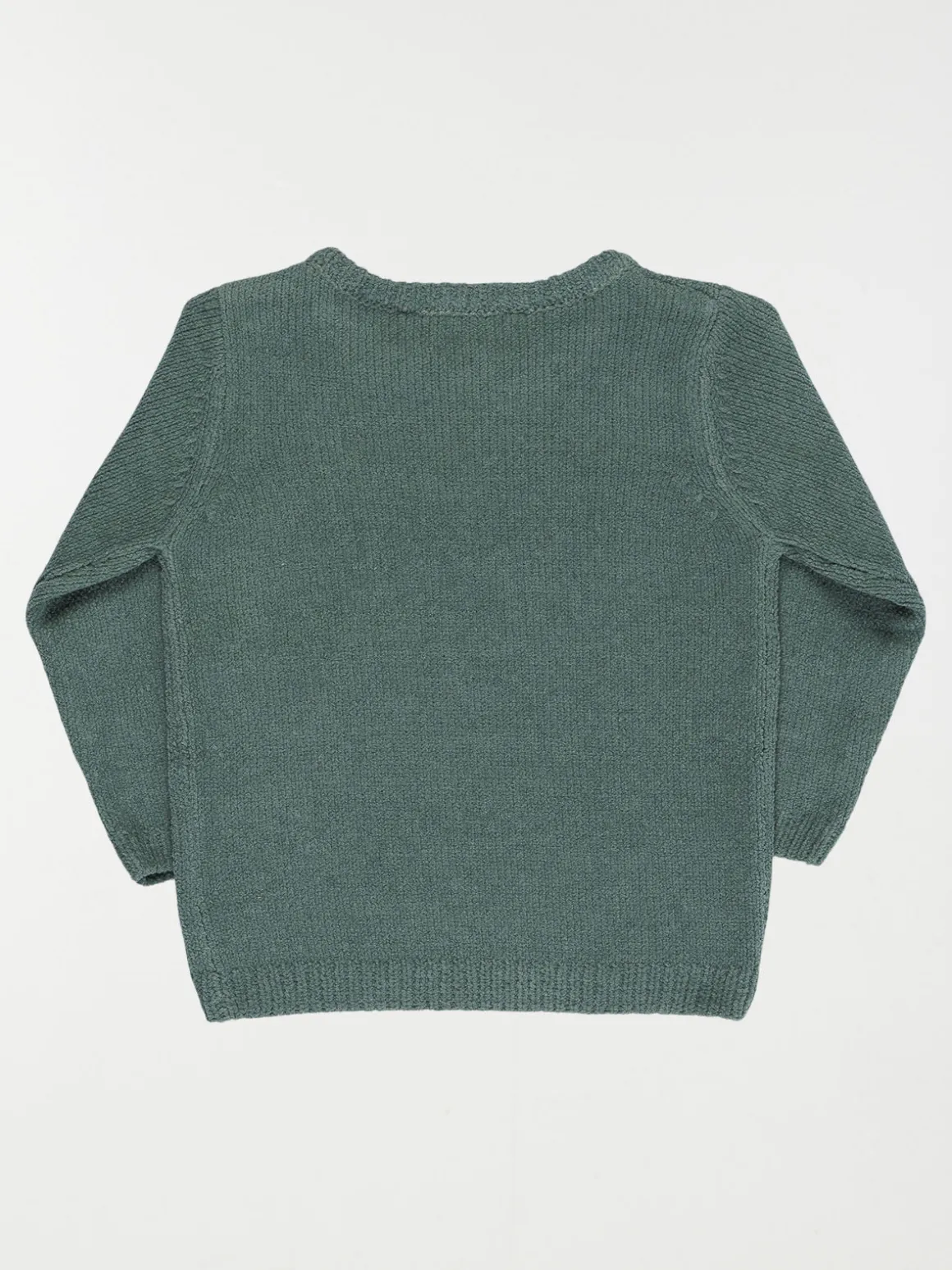 Pull dino dingo garçon (3-36M)