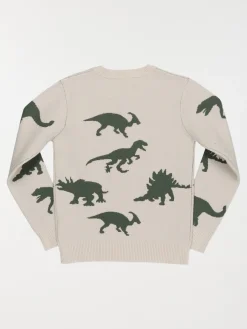 Pull dinosaures garçon (3-12A)
