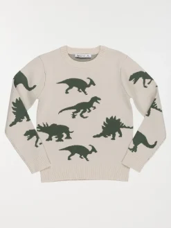 Pull dinosaures garçon (3-12A)
