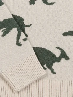 Pull dinosaures garçon (3-12A)