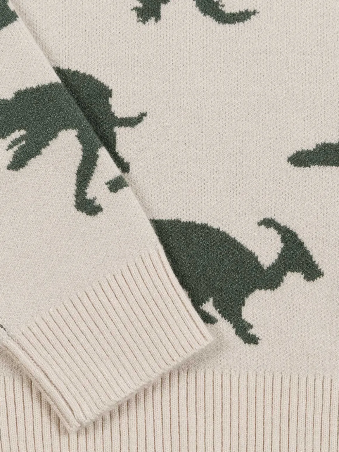 Pull dinosaures garçon (3-12A)