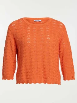 Pull maille crochet grande taille femme