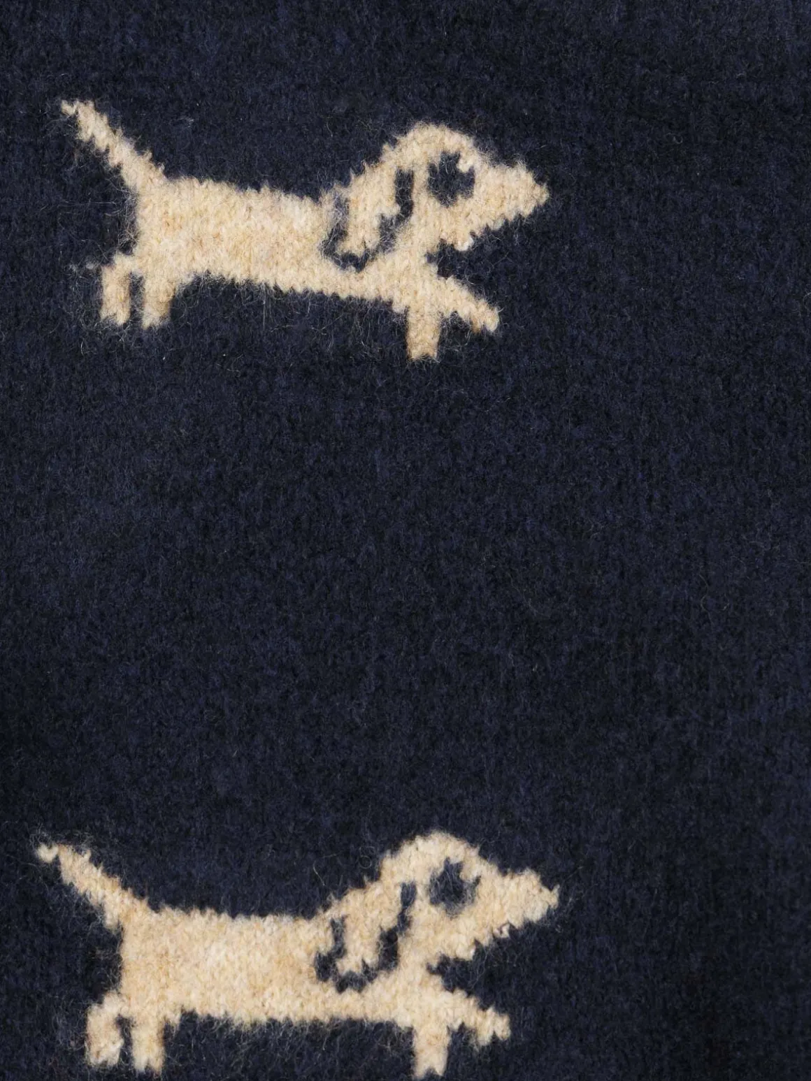 Pull motif chiens garçon (3-36M)