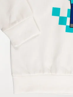 Sweat à capuche Minecraft garçon (3-12A)