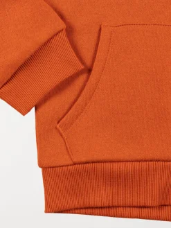 Sweat à capuche rouille garçon (3-8A)