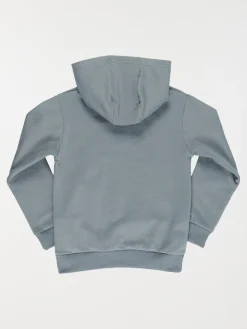 Sweat à capuche skateur garçon (3-12A)