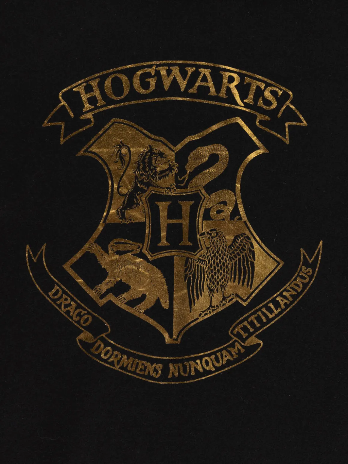 Sweat capuche Harry Potter fille (XXS-M)