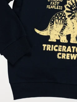 Sweat capuche Tricératops garçon (3-12A)