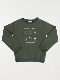 Sweat dinosaure garçon (3-12A)