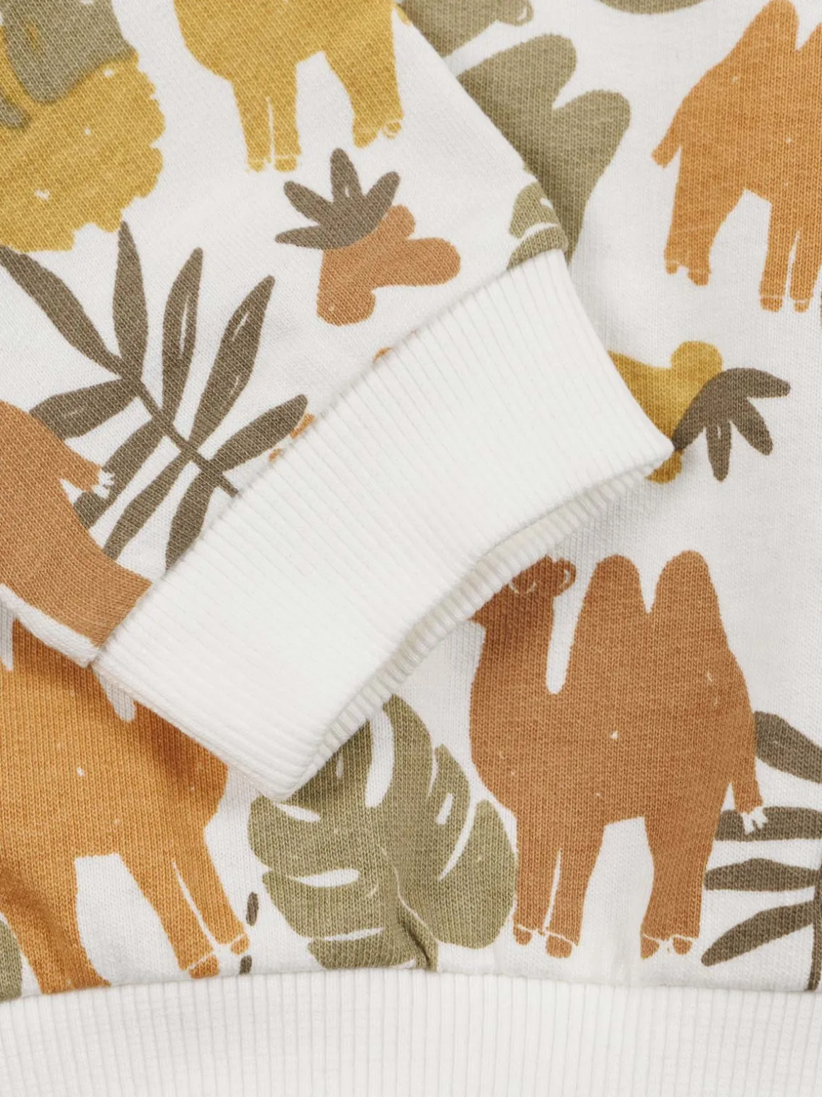 Sweat imprimé savane garçon (3-36M)