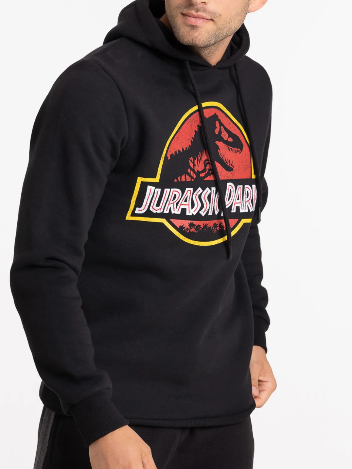Sweat Jurassic park homme
