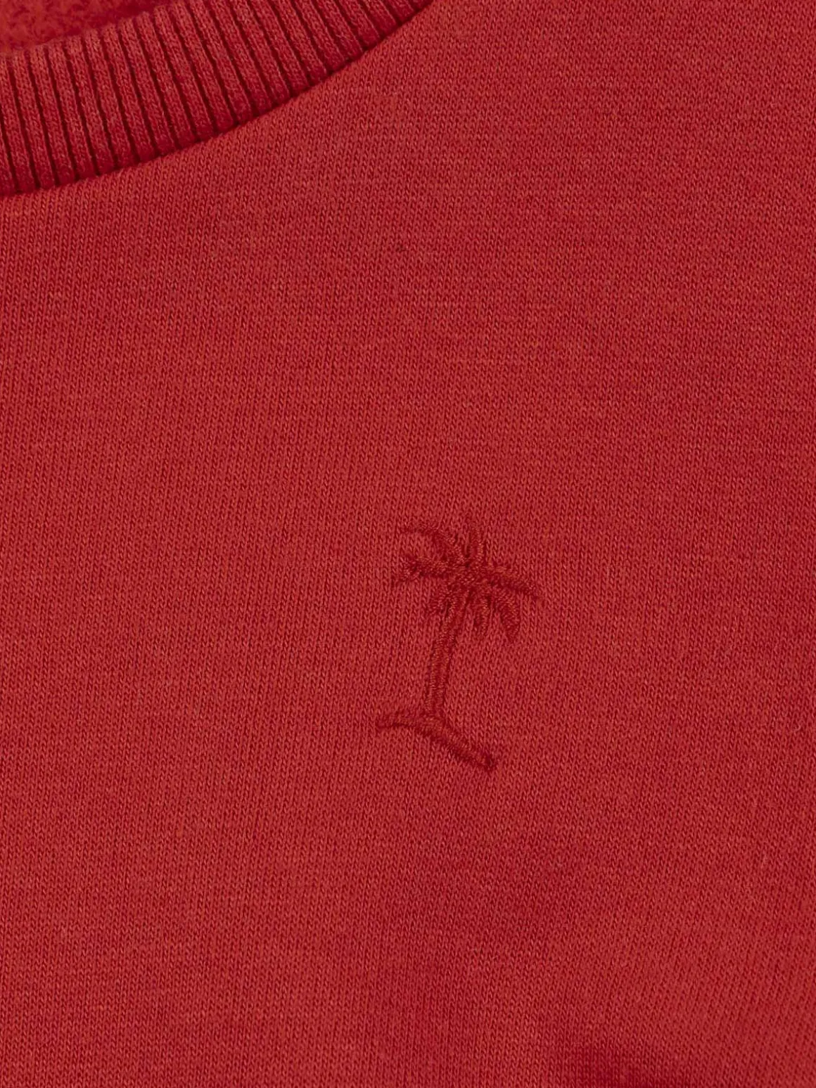 Sweat palmier brodé garçon (3-12A)