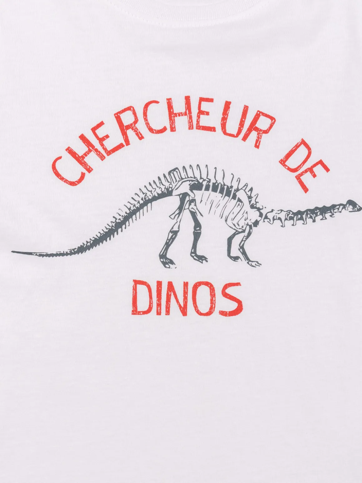 T-shirt blanc dinosaure garçon (3-8A)