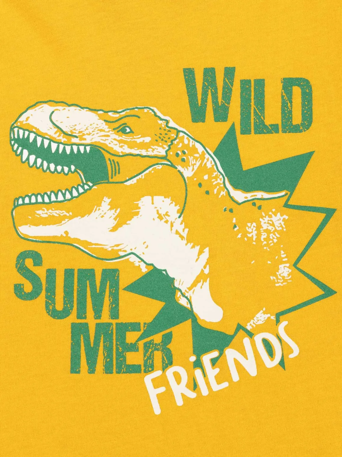 T-shirt garçon dinosaure T-rex (3-8A)