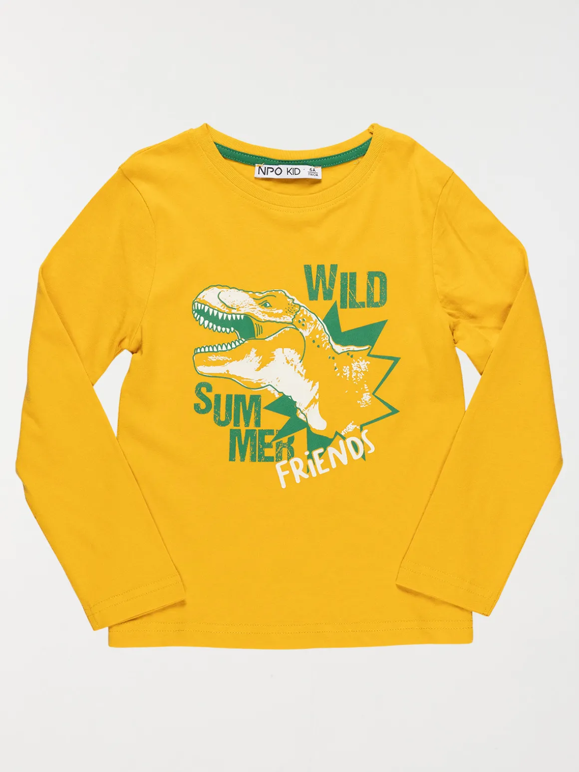 T-shirt garçon dinosaure T-rex (3-8A)