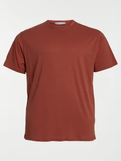 T-shirt grande taille homme