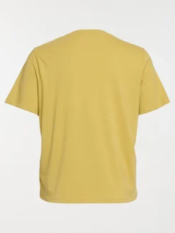 T-shirt olivette grande taille femme