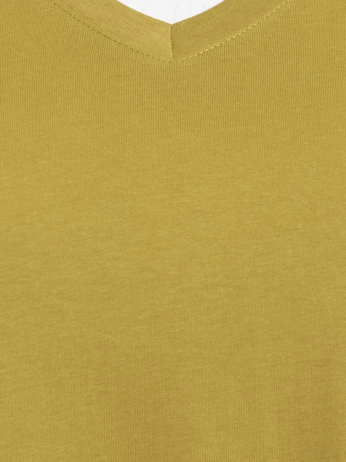T-shirt olivette grande taille femme