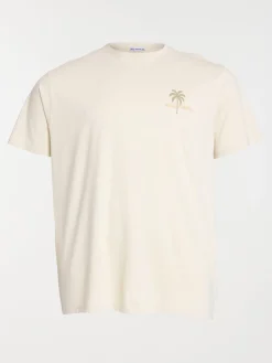 T-shirt Wild fiesta grande taille homme