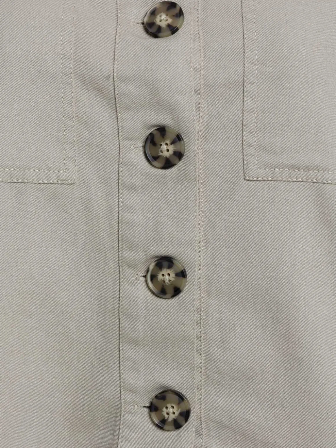 Veste sauge grande taille femme